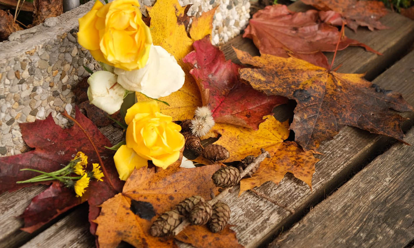 Isabel Marques Autumn Leaves MyMontreux