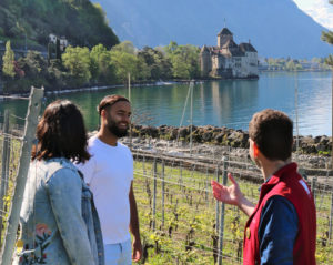 Des vignes au banquet - Un guide présente les vignes du monument aux visiteurs, avec au loin la silhouette du château millénaire.