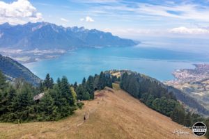 Panorama sur le Léman